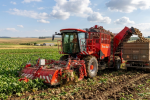 Holmer Terra Dos 5-30